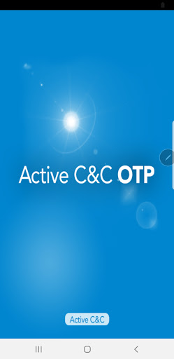 Icoit OTP Screen 2