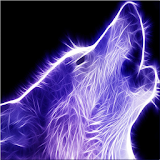Wolf HD Wallpapers FREE icon