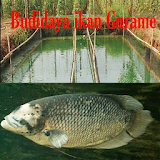 Aquaculture Gurame icon