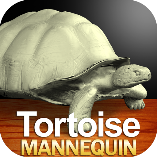 Tortoise Mannequin  Icon