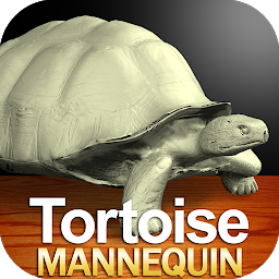 Icon image Tortoise Mannequin