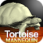 Tortoise Mannequin