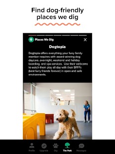 Dig-The Dog Person's Dating Ap Screenshot