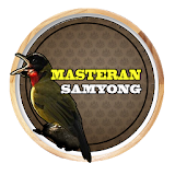 Chirping Masteran Samyong icon