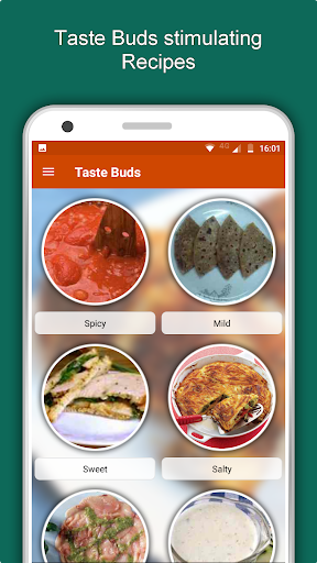 Screenshot of Non Veg Recipes: Meat, Seafood