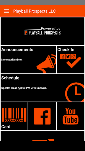 Playball Prospects LLC Screen 2