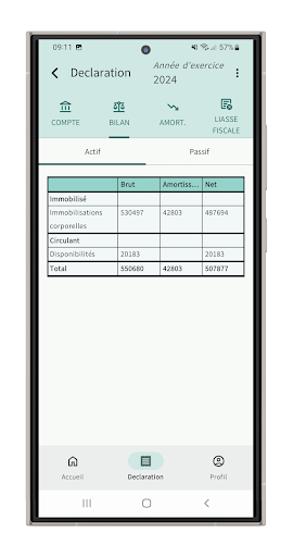 Ma Déclaration LMNP