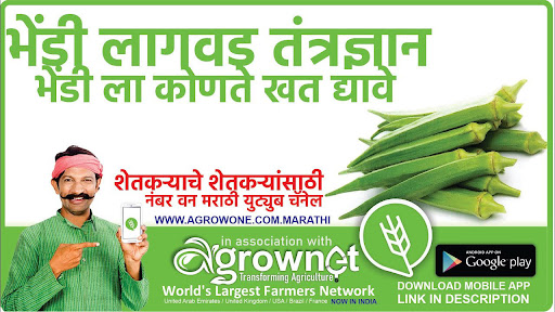 उडीद लागवड #Agrownet™ Screen 2