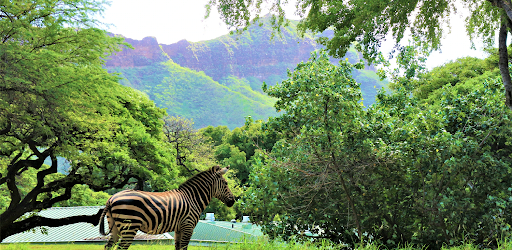 Honolulu Zoo