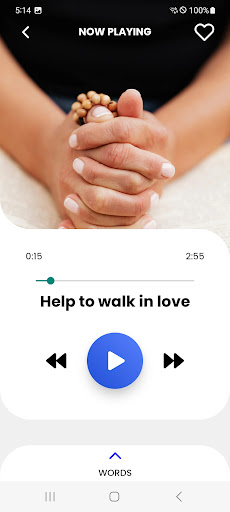 Pray-AI Screen 3