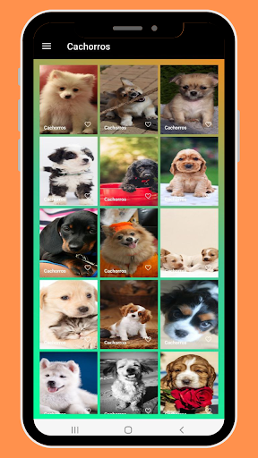 Imágenes de perros Screen 2