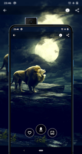 Android application Walli - 4K, HD Wallpapers screenshort