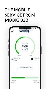 moBig B2B