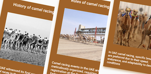UAE Camel Racing