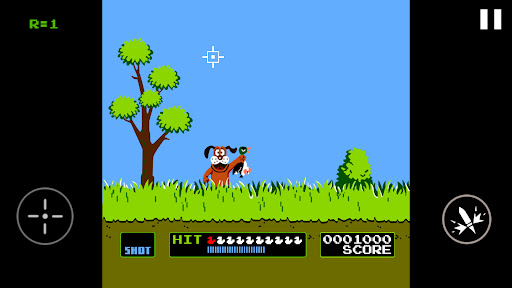 Duck Hunt Screen 2