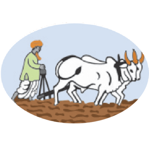 DMK Jaoli Merchant logo