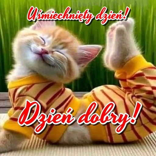 Dzień dobry! Dobranoc