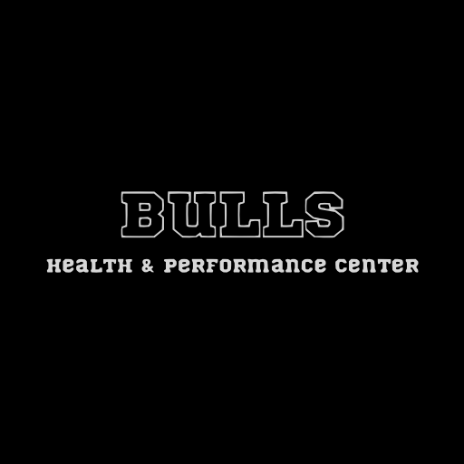 Bulls Health & Performance logo