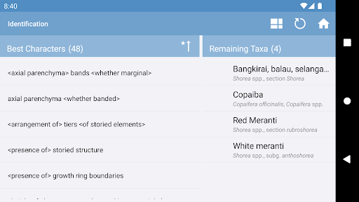 macroHOLZdata Screen 2