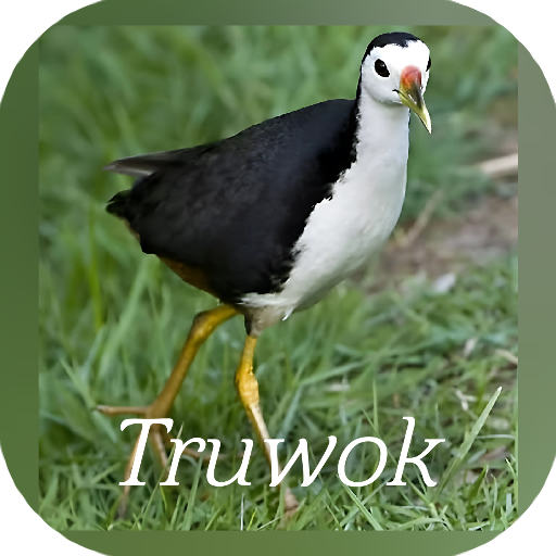 suara burung truwok jernih logo