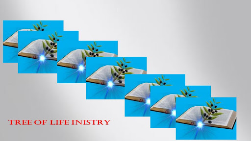 Tree Of Life Ministry Screen 2
