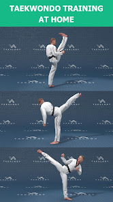 Mastering Taekwondo at Home  screenshots 2