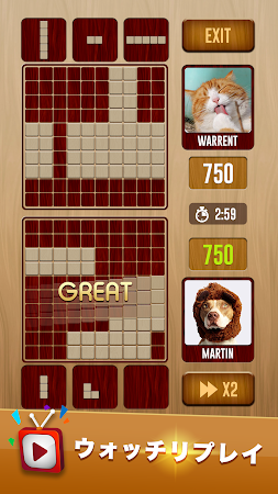 Game screenshot Woody Battle Block Puzzle Dual apk download