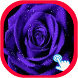 Violet wallpaper hd full icon