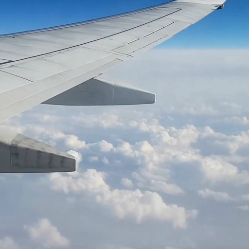 Plane Live Wallpaper logo