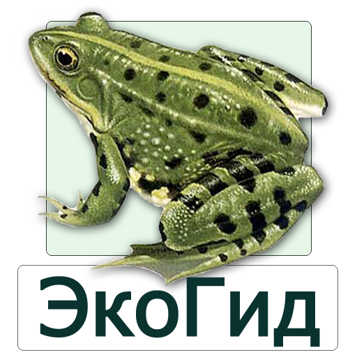 Ekogid Amfibii Foto Golosa I Opredelitel Google Play のアプリ