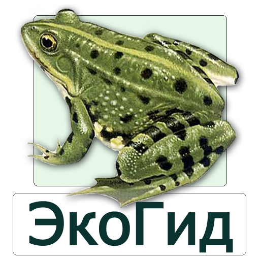 ЭкоГид: Амфибии - Определитель تنزيل على نظام Windows