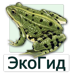 Icon image EcoGuide: Russian Amphibians