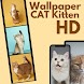 Cute Cat Wallpaper HD Kittens