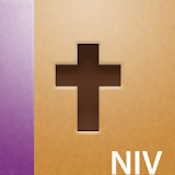 NIV Translation Bible Touch icon