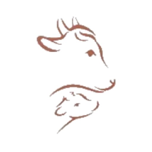 digiGAI-herd health & breeding logo