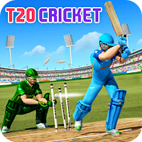 Чемпионат мира по крикету T20 Australia 2020 Game