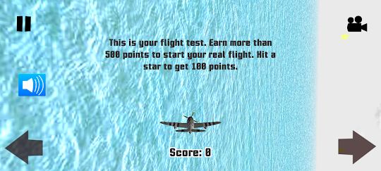 Elite plane : infinite flight,