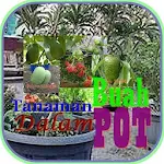 Cover Image of Herunterladen Tanaman Buah Dalam Pot  APK