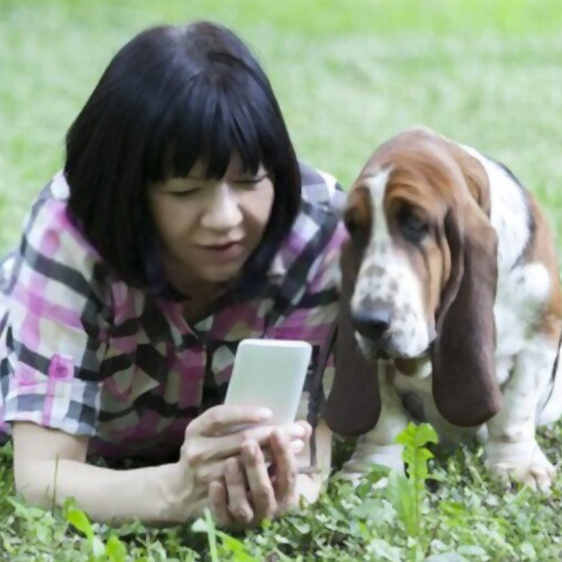 How to Understand your Dog Step by Step