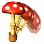 Cover Image of ดาวน์โหลด Mushro 1.3 APK