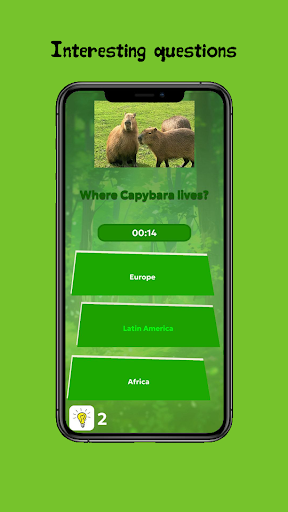 Android application Capybara Quiz screenshort