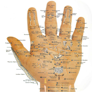 'Acupressure Tips' official application icon
