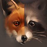 Raccoon and Fox Wallpaper icon