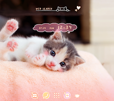 子猫の視線 Homeテーマ Androidアプリ Applion