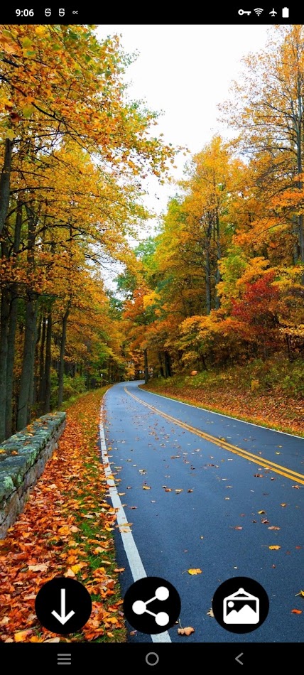 #4. Fall Wallpapers (Android) Av: Infinity