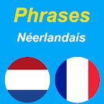 Cover Image of Download Phrases en Néerlandais  APK