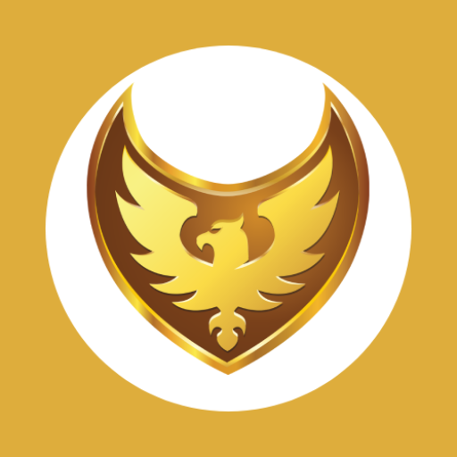 Falcons Delivery logo