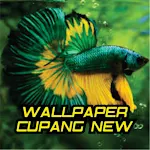 Cover Image of Download Wallpaper Cupang New 1.1 APK