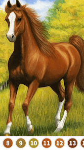 Horse Color by Number