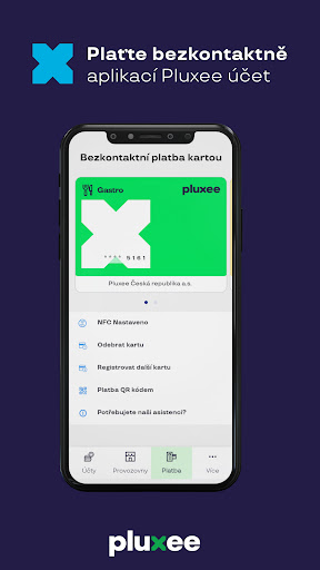 Pluxee Account Screen 3
